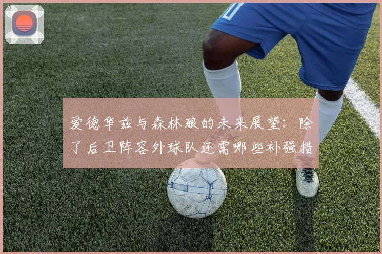 爱德华兹与森林狼的未来展望：除了后卫阵容外球队还需哪些补强措施