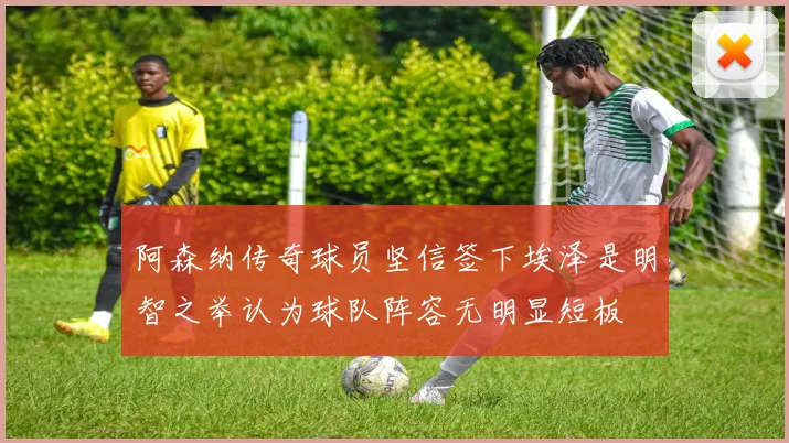阿森纳传奇球员坚信签下埃泽是明智之举认为球队阵容无明显短板