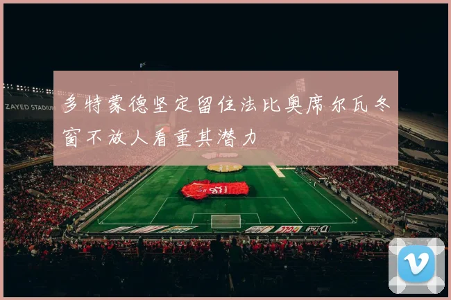 多特蒙德坚定留住法比奥席尔瓦冬窗不放人看重其潜力